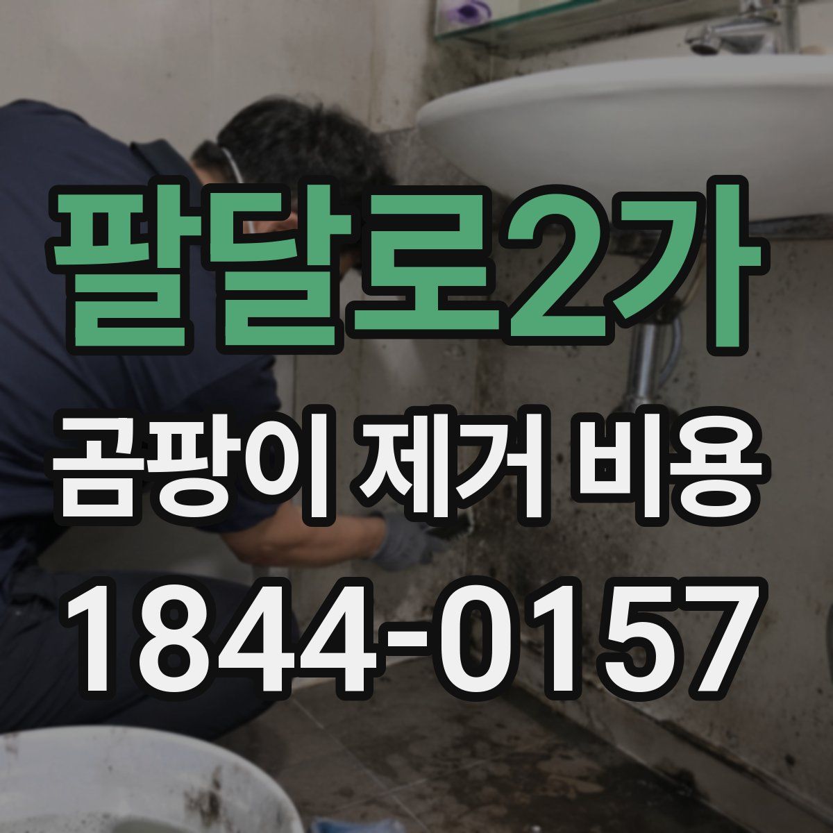 팔달로2가 곰팡이 제거 비용