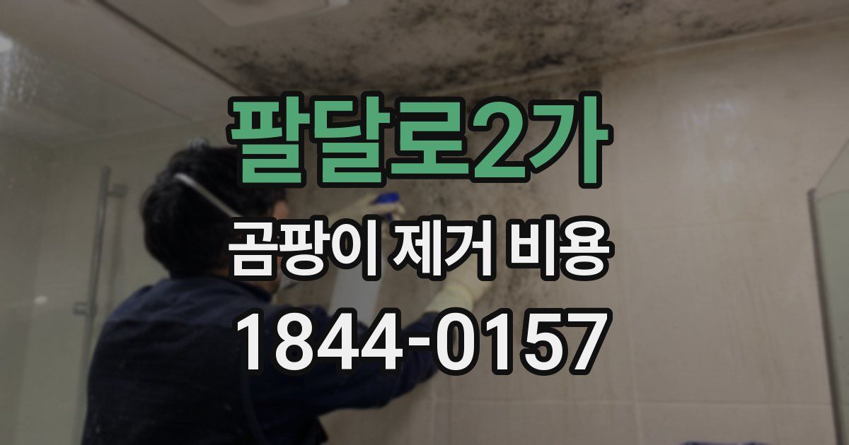 팔달로2가 곰팡이 제거 비용