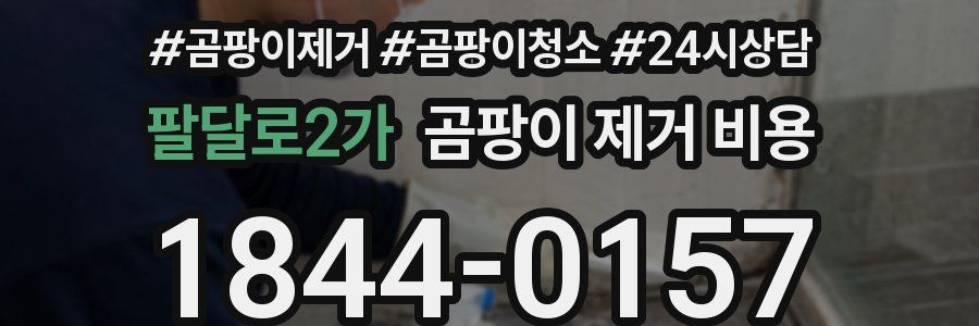 팔달로2가 곰팡이 제거 비용