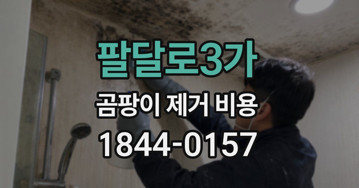 팔달로3가 곰팡이 제거 비용