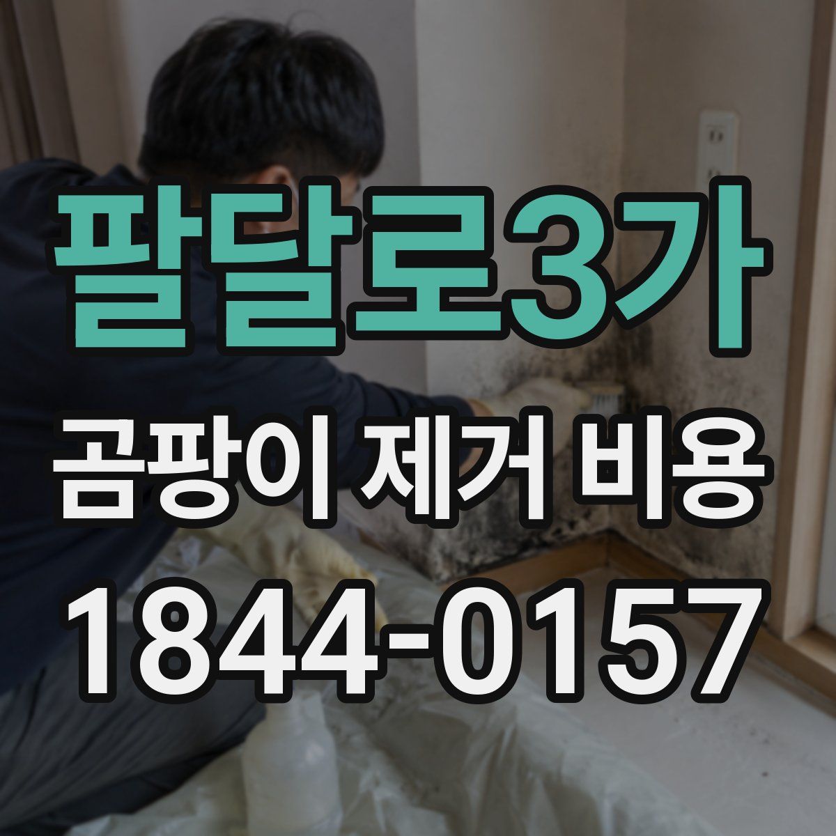 팔달로3가 곰팡이 제거 비용