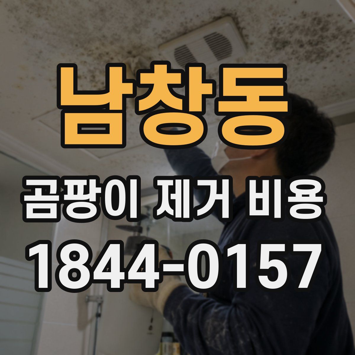 남창동 곰팡이 제거 비용