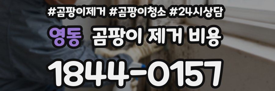 영동 곰팡이 제거 비용