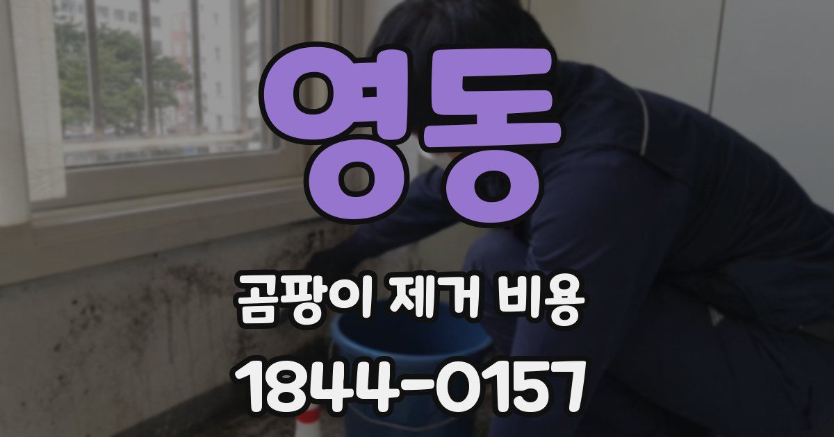 영동 곰팡이 제거 비용