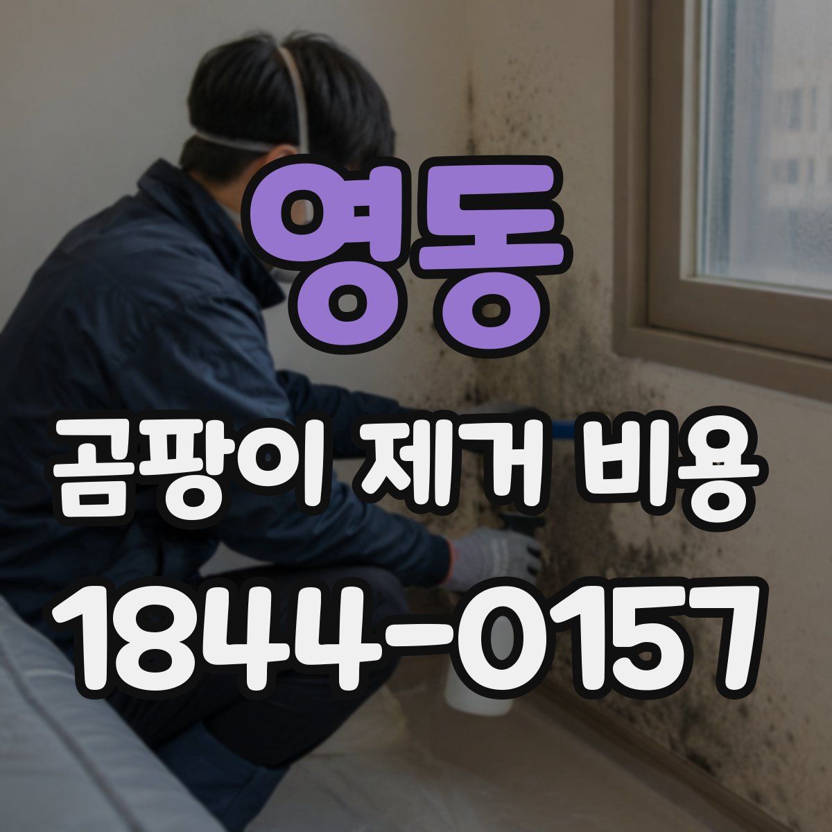 영동 곰팡이 제거 비용