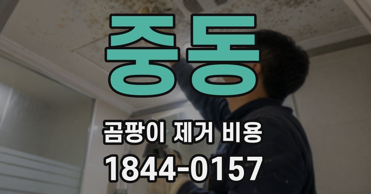 중동 곰팡이 제거 비용