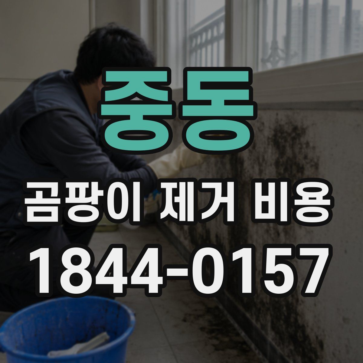 중동 곰팡이 제거 비용