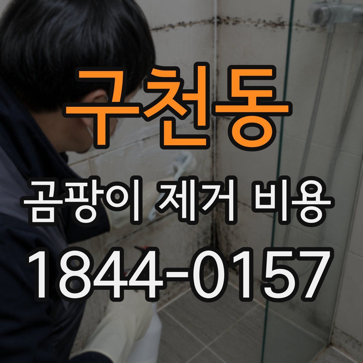 구천동 곰팡이 제거 비용