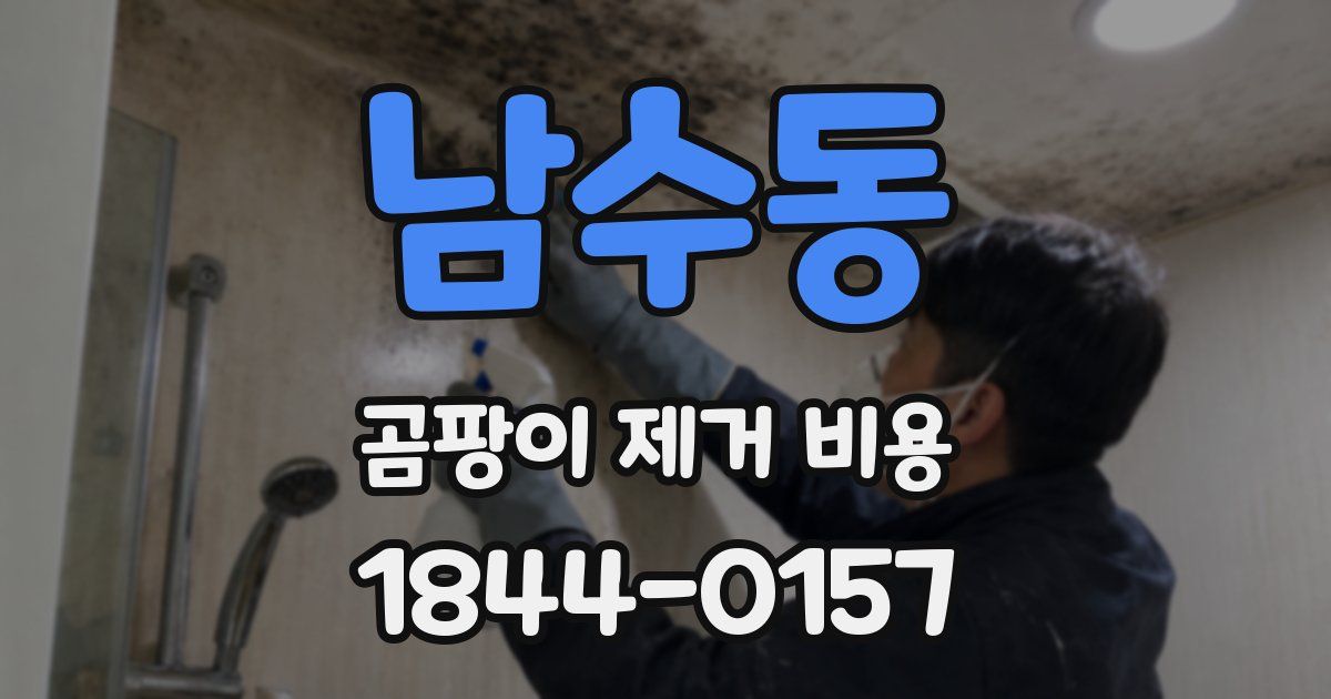 남수동 곰팡이 제거 비용
