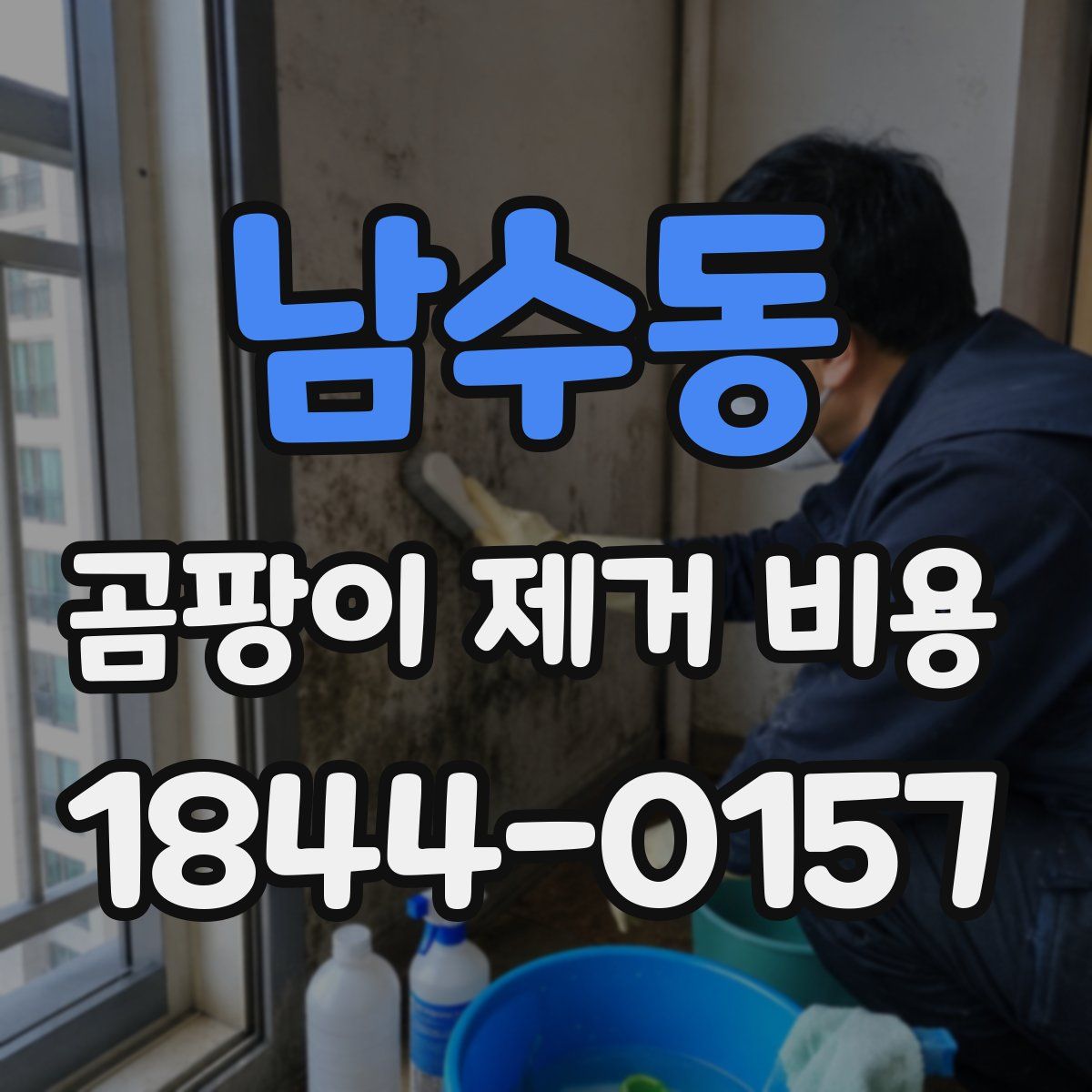 남수동 곰팡이 제거 비용
