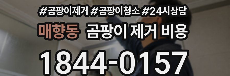 매향동 곰팡이 제거 비용