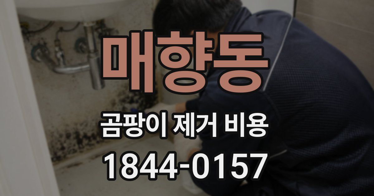 매향동 곰팡이 제거 비용