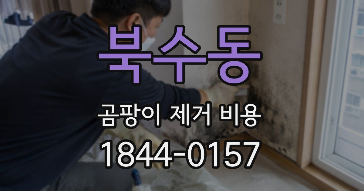 북수동 곰팡이 제거 비용