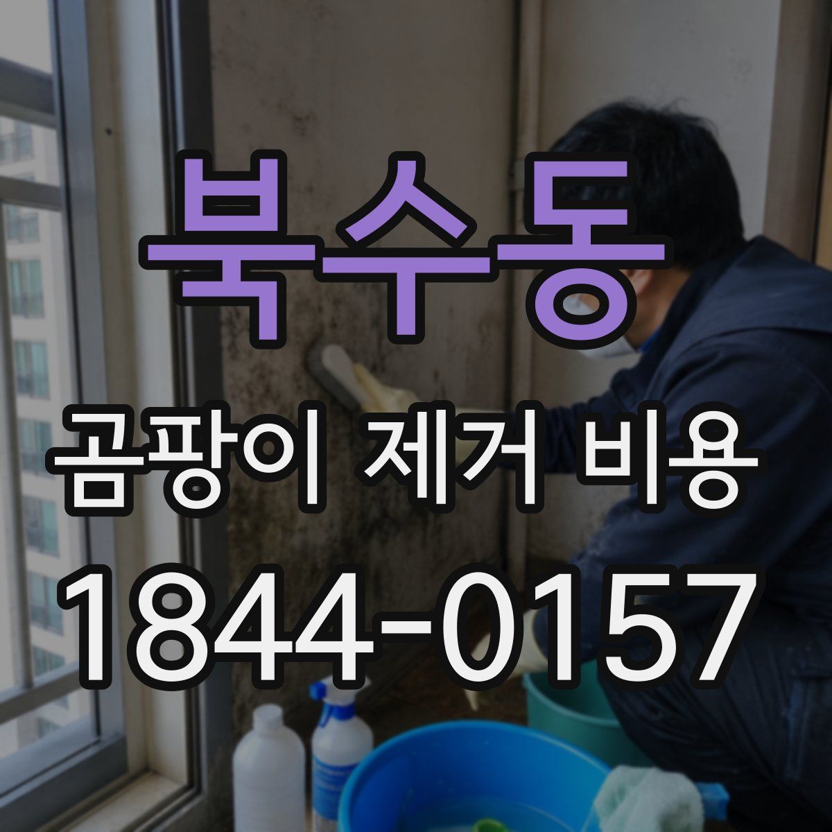 북수동 곰팡이 제거 비용