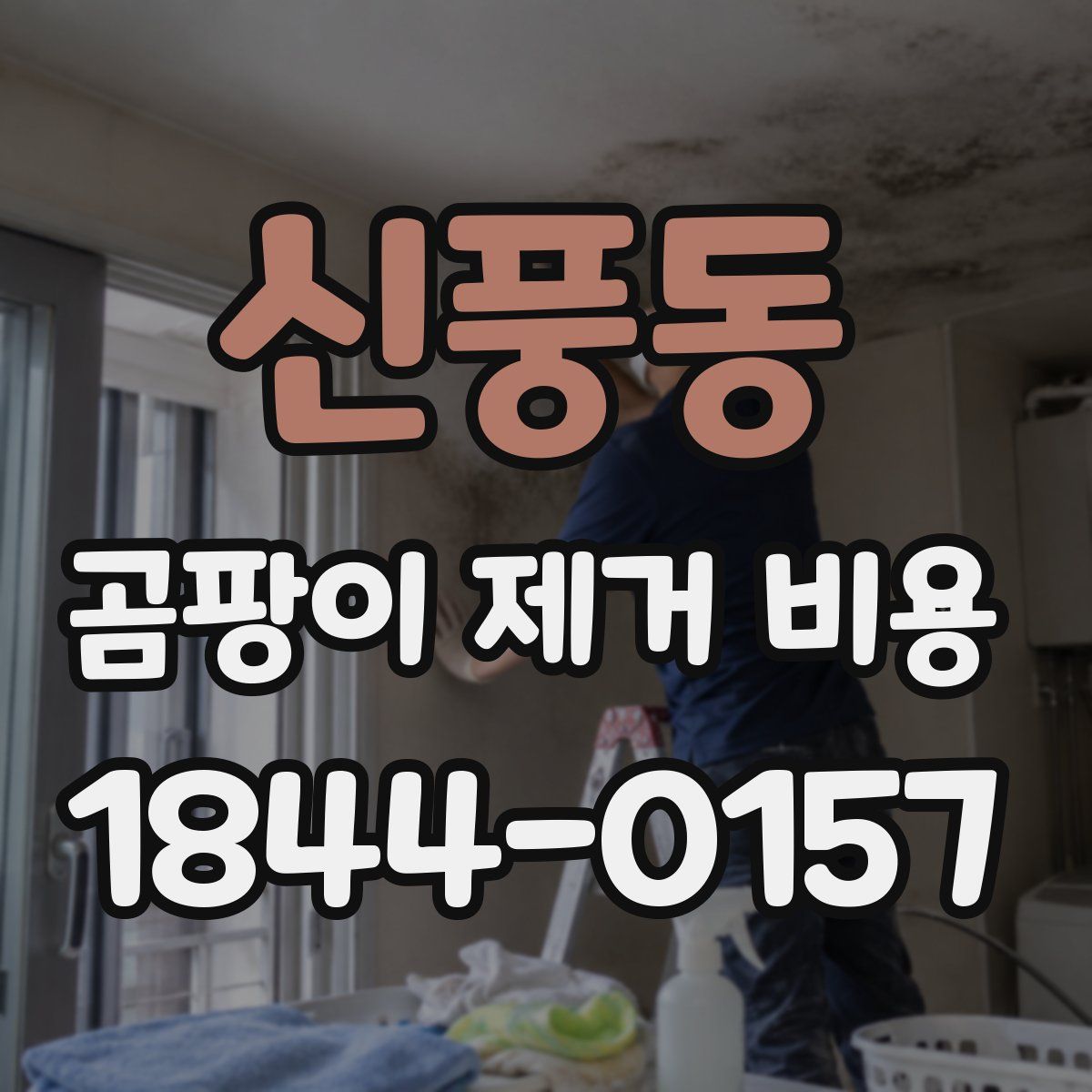 신풍동 곰팡이 제거 비용