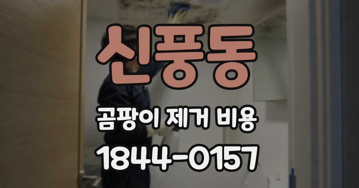 신풍동 곰팡이 제거 비용