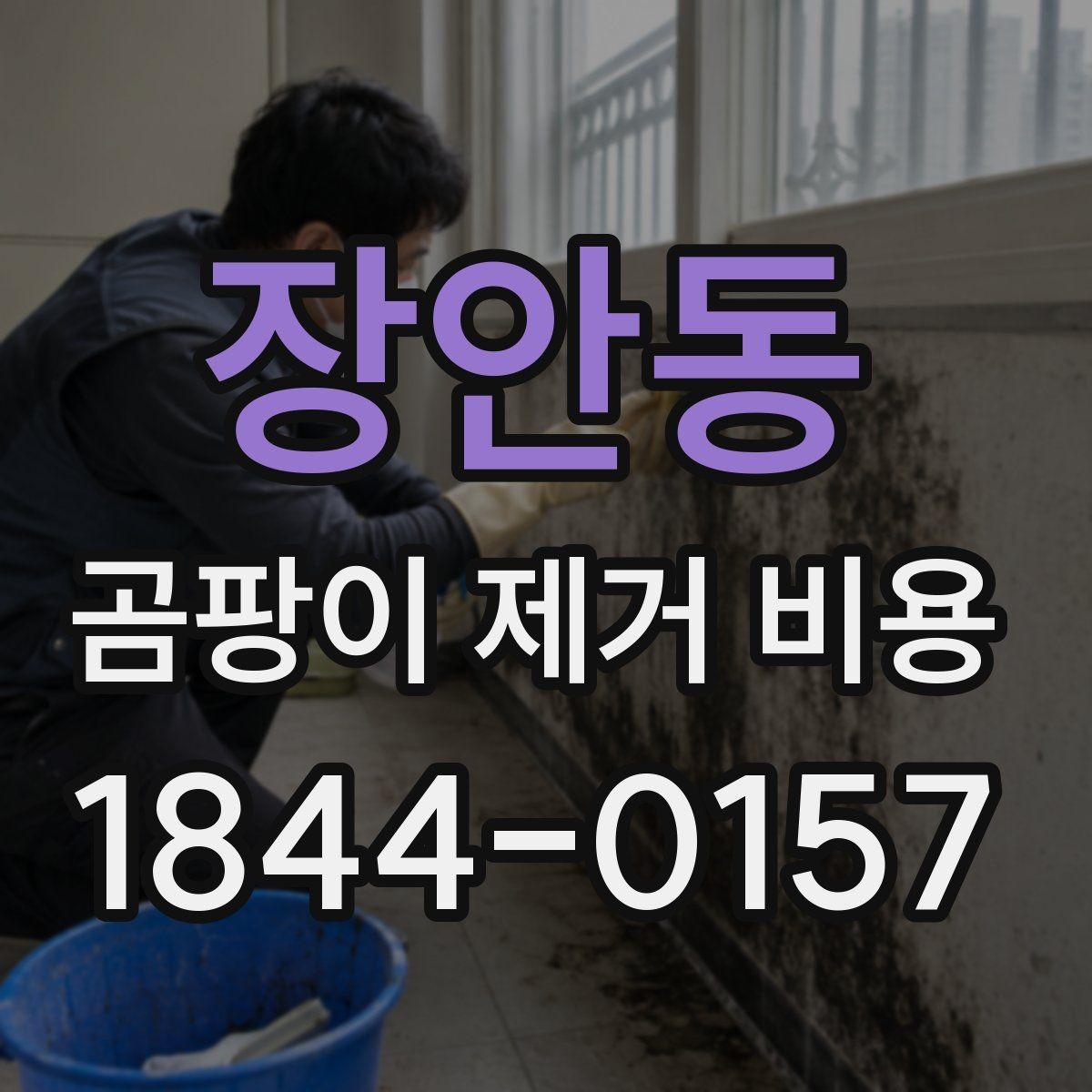 장안동 곰팡이 제거 비용 벽면 오염과 냄새 처리 범위가 달라지는 때