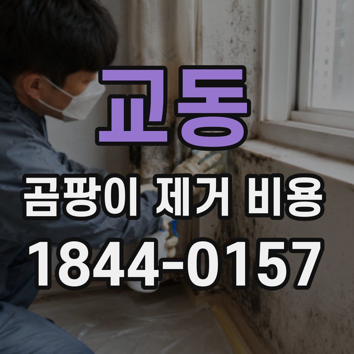 교동 곰팡이 제거 비용