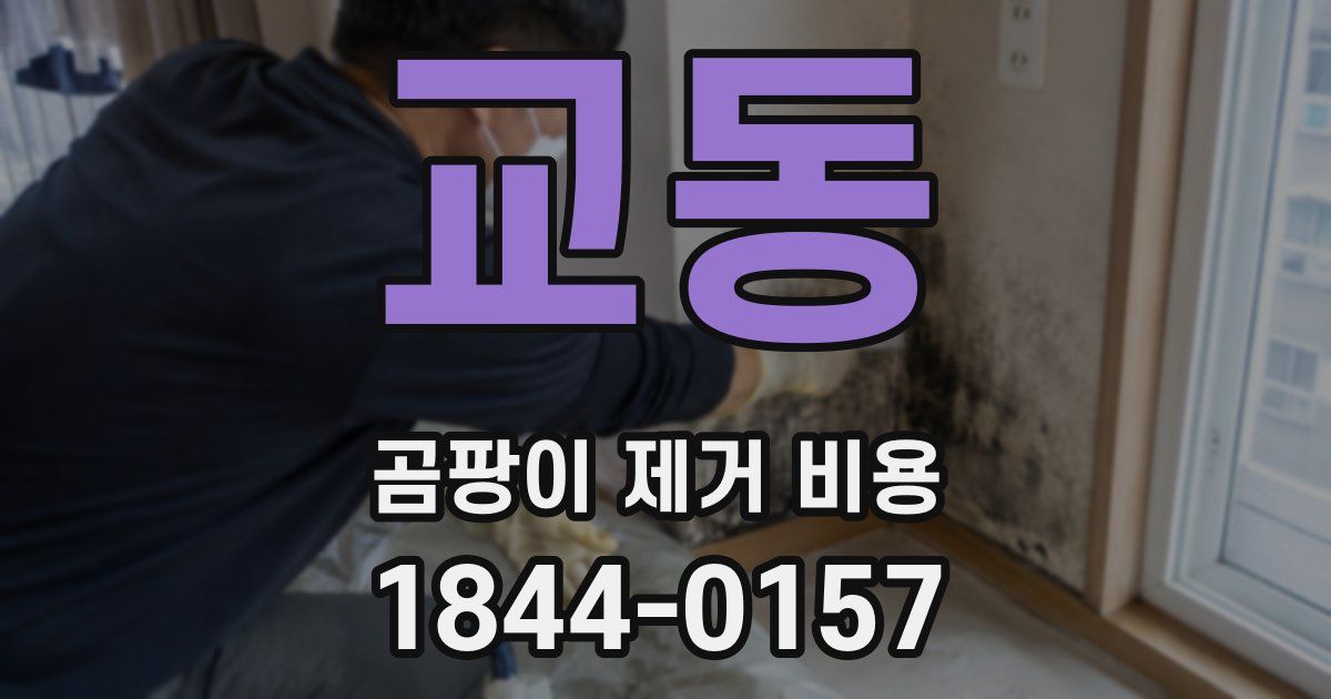 교동 곰팡이 제거 비용