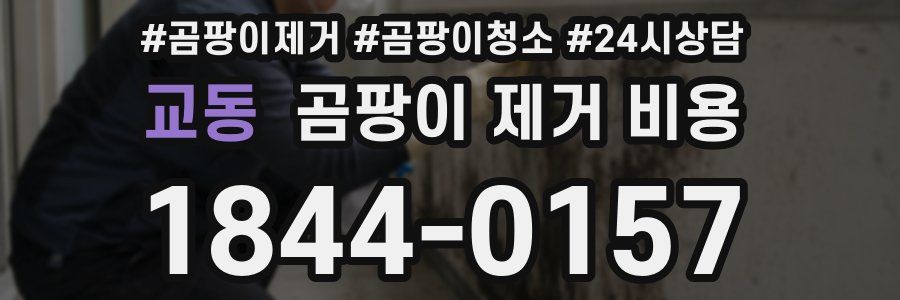 교동 곰팡이 제거 비용
