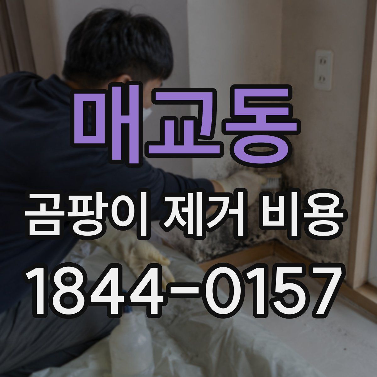 매교동 곰팡이 제거 비용