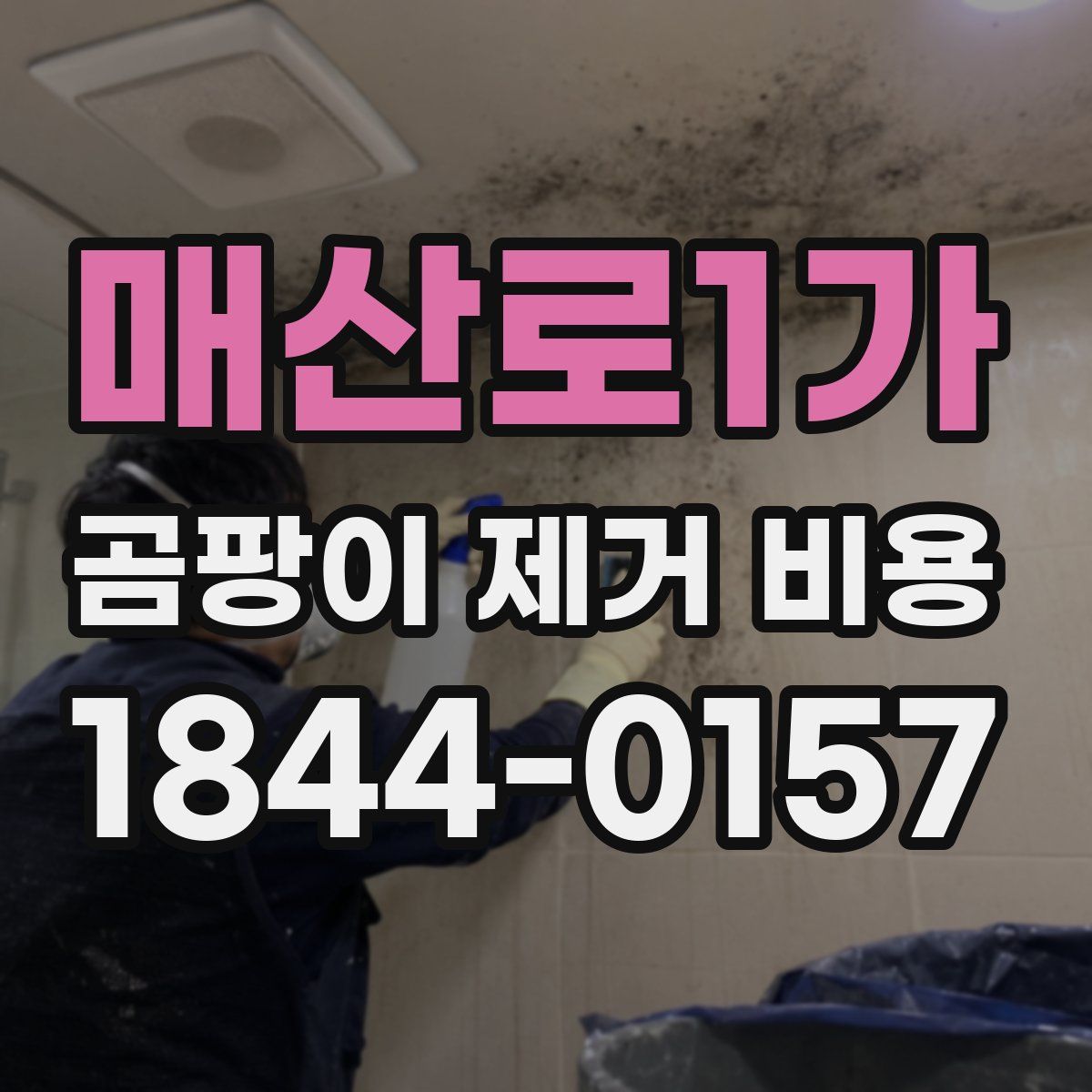 매산로1가 곰팡이 제거 비용