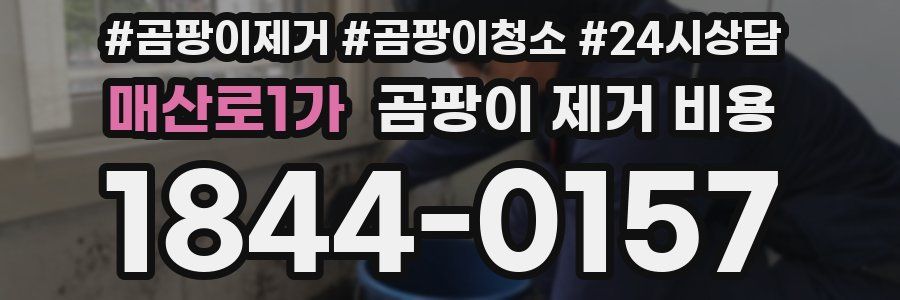 매산로1가 곰팡이 제거 비용