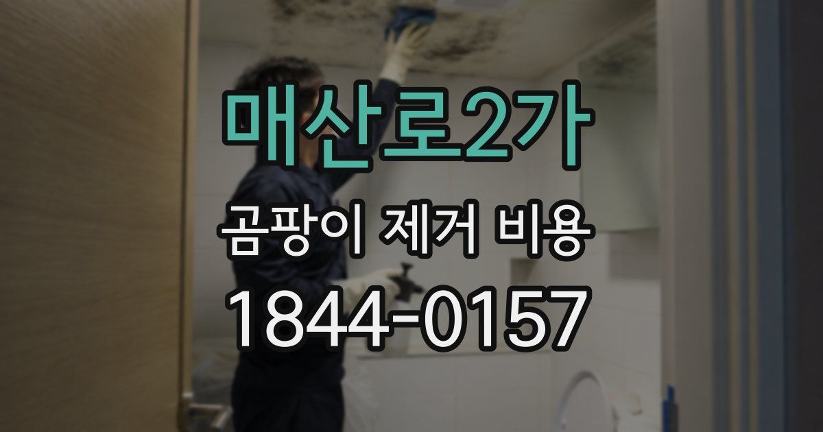매산로2가 곰팡이 제거 비용