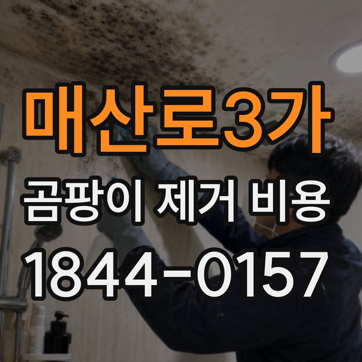 매산로3가 곰팡이 제거 비용