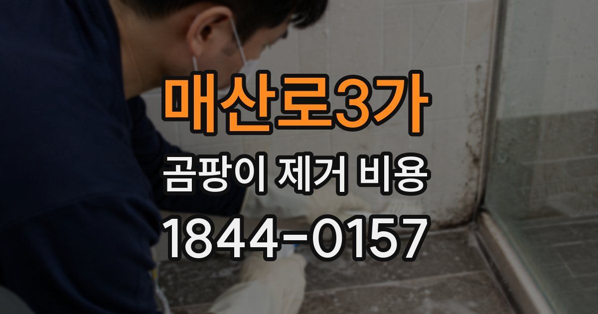 매산로3가 곰팡이 제거 비용