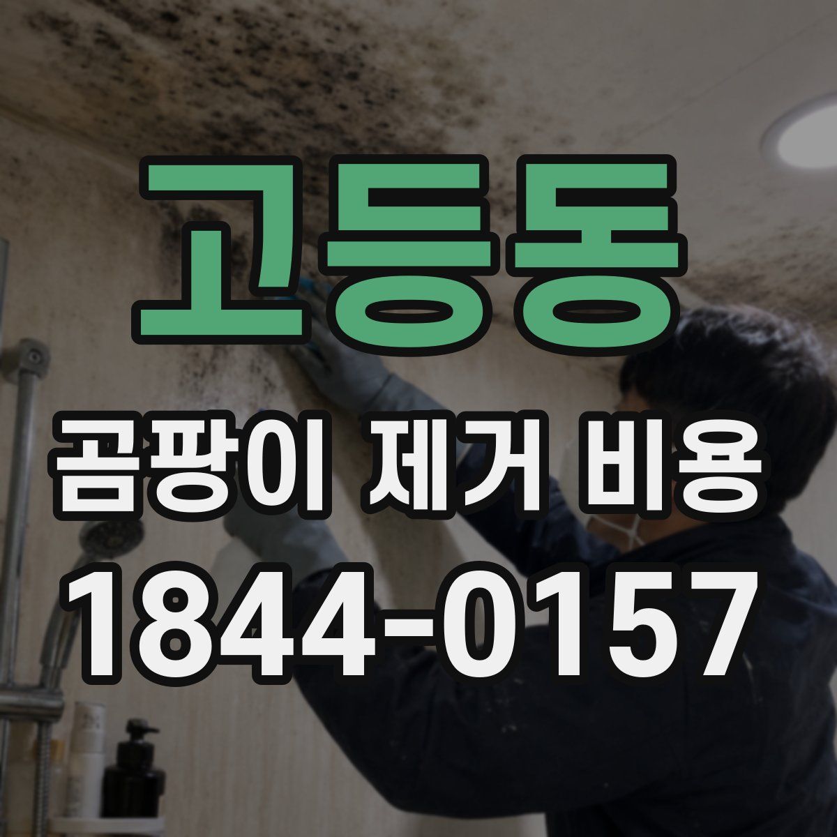 고등동 곰팡이 제거 비용