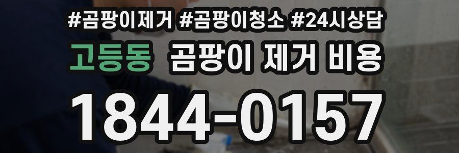 고등동 곰팡이 제거 비용