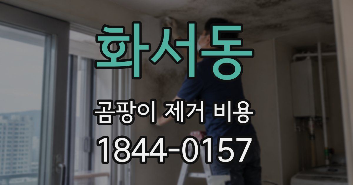 화서동 곰팡이 제거 비용