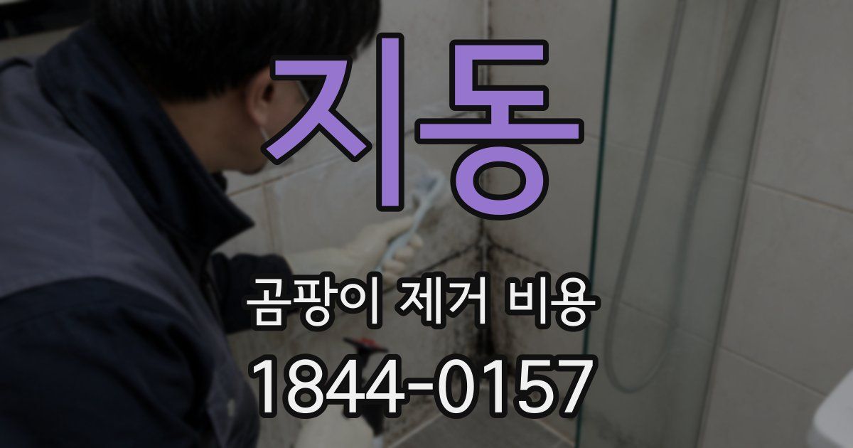 지동 곰팡이 제거 비용