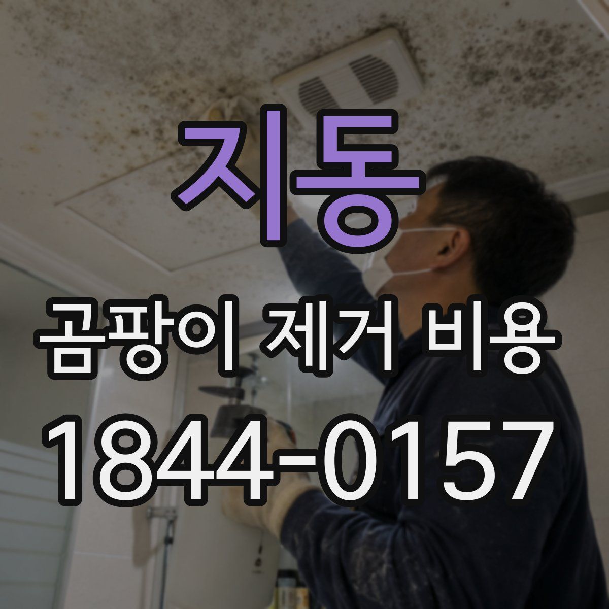 지동 곰팡이 제거 비용