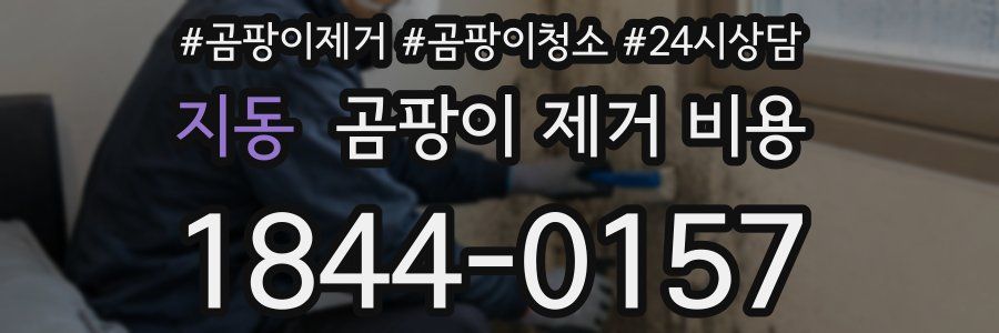 지동 곰팡이 제거 비용