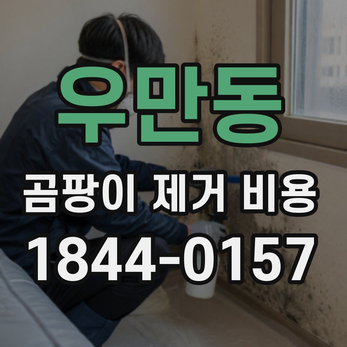 우만동 곰팡이 제거 비용