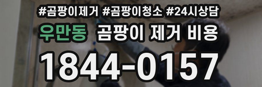 우만동 곰팡이 제거 비용