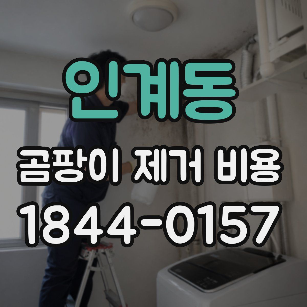 인계동 곰팡이 제거 비용