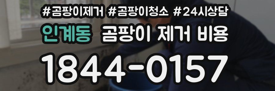 인계동 곰팡이 제거 비용