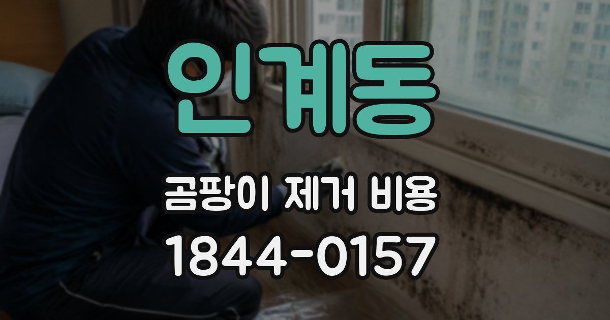 인계동 곰팡이 제거 비용