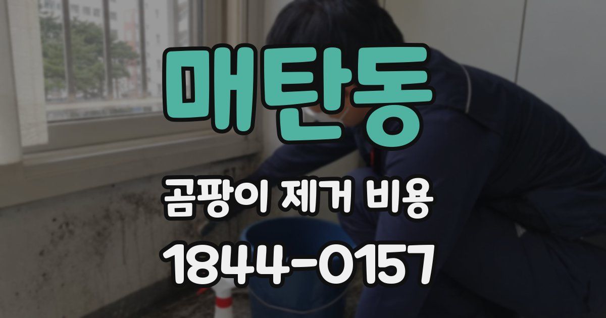 매탄동 곰팡이 제거 비용