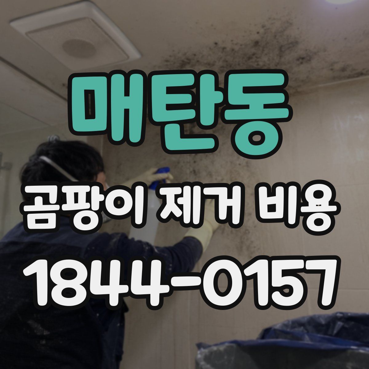 매탄동 곰팡이 제거 비용