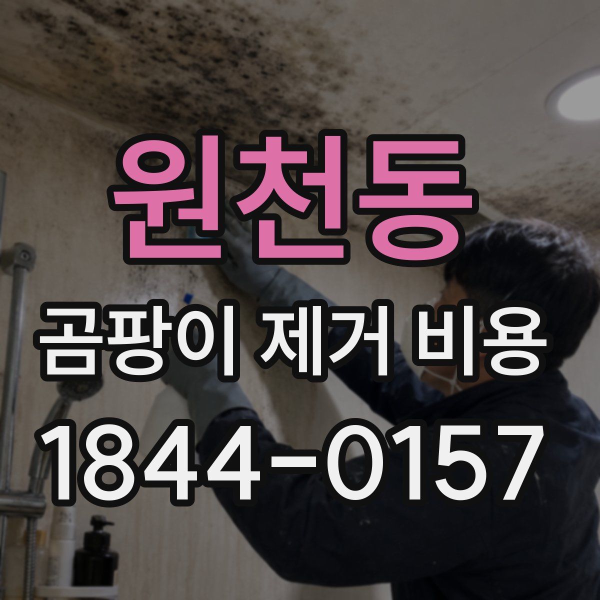 원천동 곰팡이 제거 비용