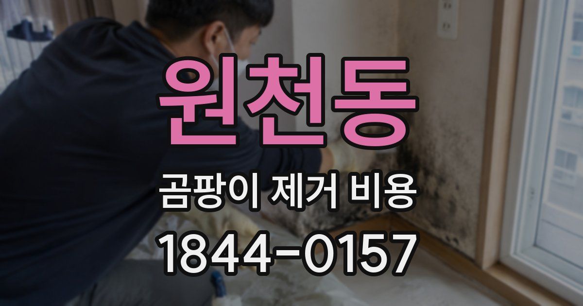 원천동 곰팡이 제거 비용