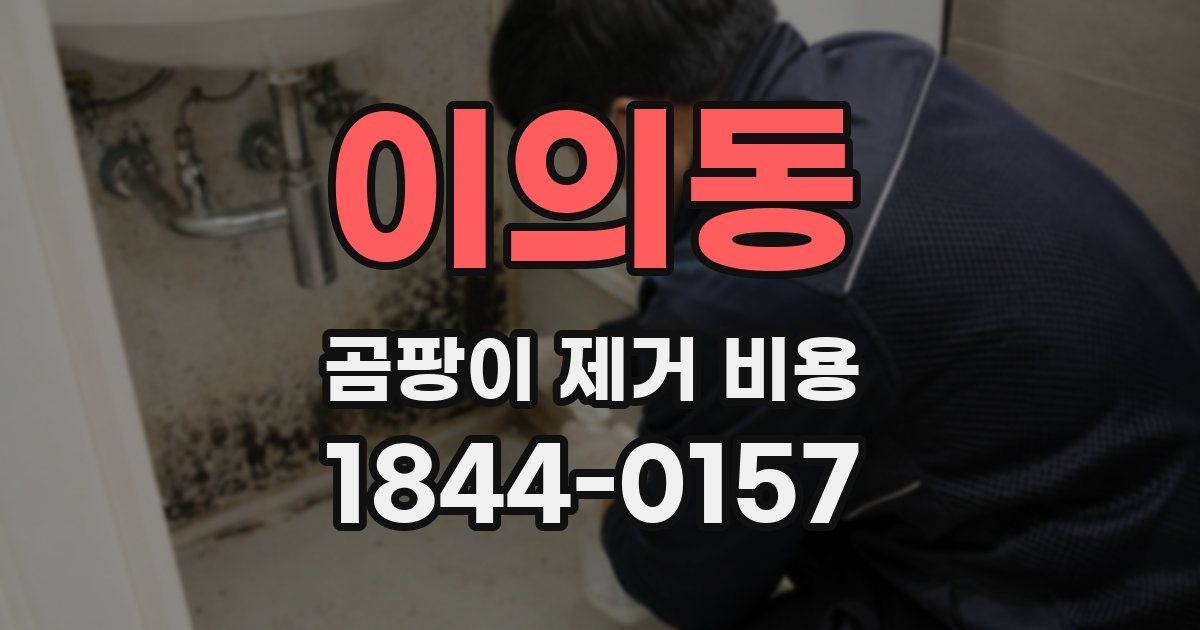 이의동 곰팡이 제거 비용