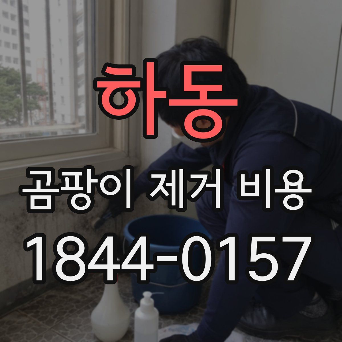 하동 곰팡이 제거 비용