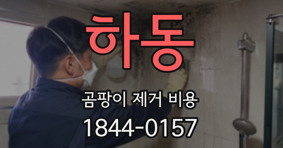 하동 곰팡이 제거 비용
