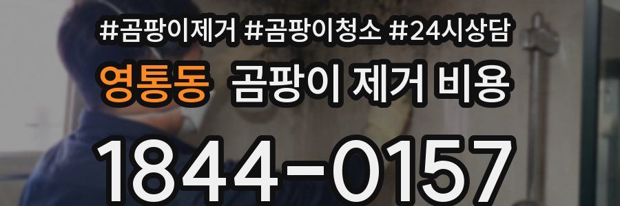 영통동 곰팡이 제거 비용