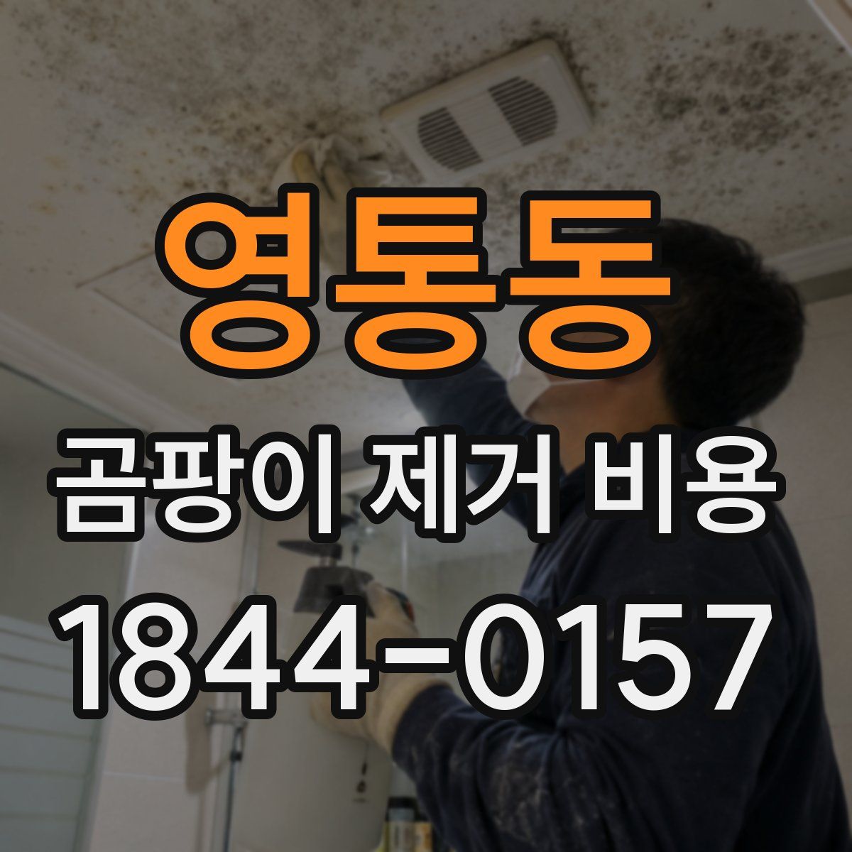 영통동 곰팡이 제거 비용